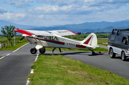 tsubasa0624さんが、羽生滑空場で撮影した日本個人所有 A-1 Huskyの航空フォト（飛行機 写真・画像）