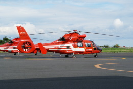 Speed Birdさんが、東京ヘリポートで撮影した東京消防庁航空隊 AS365N2 Dauphin 2の航空フォト（飛行機 写真・画像）