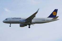 PASSENGERさんが、ロンドン・ヒースロー空港で撮影したルフトハンザドイツ航空 A320-214の航空フォト（飛行機 写真・画像）