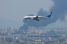 伊丹空港 - Osaka International Airport [ITM/RJOO]で撮影された全日空 - All Nippon Airways [NH/ANA]の航空機写真