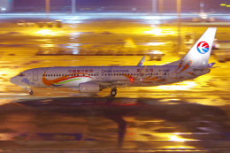 雲南 孔雀(オレンジ)」特別塗装機 中国東方航空 (737-800 | B