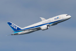 Narita spotterさんが、羽田空港で撮影した全日空 787-8 Dreamlinerの航空フォト（飛行機 写真・画像）