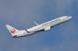 Narita spotterさんが、羽田空港で撮影した日本航空 737-846の航空フォト（飛行機 写真・画像）