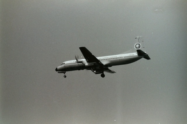 うすさんが、伊丹空港で撮影した全日空 YS-11-117の航空フォト（飛行機 写真・画像）