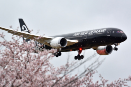 リーペアさんが、成田国際空港で撮影したニュージーランド航空 787-9の航空フォト（飛行機 写真・画像）