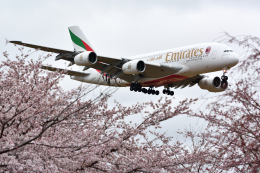 リーペアさんが、成田国際空港で撮影したエミレーツ航空 A380-861の航空フォト（飛行機 写真・画像）