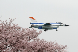 航空自衛隊?
天翔
S式後期５型アマガケ 1/48ハセガワ F-86Dセイバードッグ 航空自衛隊｜プラモデル
