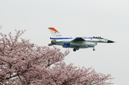 ケロたんさんが、岐阜基地で撮影した航空自衛隊 F-2Aの航空フォト（飛行機 写真・画像）