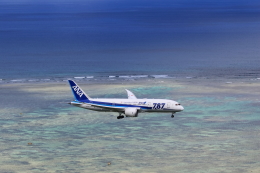 新石垣空港 - Shin Ishigaki Airport [ISG/ROIG]で撮影された全日空 - All Nippon Airways [NH/ANA]の航空機写真