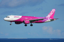 こすけさんが、那覇空港で撮影したピーチ A320-214の航空フォト（飛行機 写真・画像）