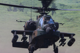 takaRJNSさんが、東富士演習場で撮影した陸上自衛隊 AH-64Dの航空フォト（飛行機 写真・画像）