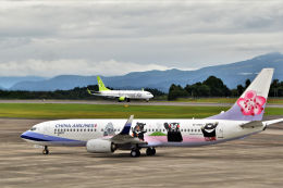 こーせー。さんが、鹿児島空港で撮影したチャイナエアライン 737-8FHの航空フォト（飛行機 写真・画像）