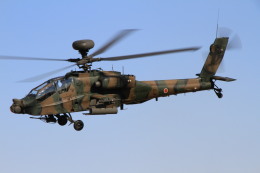 ちゅういちさんが、習志野演習場で撮影した陸上自衛隊 AH-64Dの航空フォト（飛行機 写真・画像）