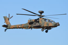 350JMさんが、習志野演習場で撮影した陸上自衛隊 AH-64Dの航空フォト（飛行機 写真・画像）