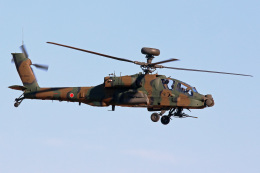szkkjさんが、習志野演習場で撮影した陸上自衛隊 AH-64Dの航空フォト（飛行機 写真・画像）