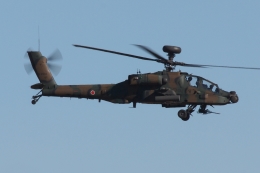 木人さんが、習志野演習場で撮影した陸上自衛隊 AH-64Dの航空フォト（飛行機 写真・画像）