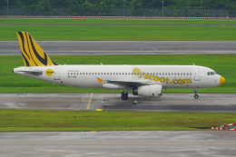 PASSENGERさんが、シンガポール・チャンギ国際空港で撮影したスクート A320-232の航空フォト（飛行機 写真・画像）