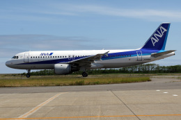 A-Chanさんが、新潟空港で撮影した全日空 A320-211の航空フォト（飛行機 写真・画像）