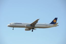 はれいろさんが、フランクフルト国際空港で撮影したルフトハンザドイツ航空 A321-231の航空フォト（飛行機 写真・画像）