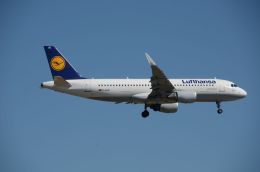 はれいろさんが、フランクフルト国際空港で撮影したルフトハンザドイツ航空 A320-214の航空フォト（飛行機 写真・画像）