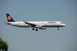はれいろさんが、フランクフルト国際空港で撮影したルフトハンザドイツ航空 A321-231の航空フォト（飛行機 写真・画像）