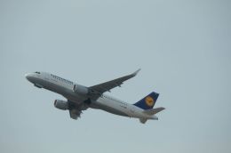 はれいろさんが、フランクフルト国際空港で撮影したルフトハンザドイツ航空 A320-214の航空フォト（飛行機 写真・画像）