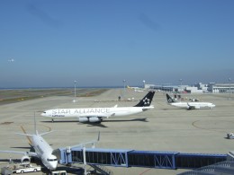 金魚さんが、中部国際空港で撮影したルフトハンザドイツ航空 A340-311の航空フォト（飛行機 写真・画像）