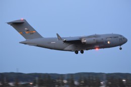 デルタおA330さんが、横田基地で撮影したアメリカ空軍 C-17A Globemaster IIIの航空フォト（飛行機 写真・画像）