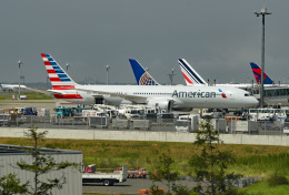 tsubasa0624さんが、羽田空港で撮影したアメリカン航空 787-9の航空フォト（飛行機 写真・画像）