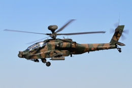 kaeru6006さんが、習志野演習場で撮影した陸上自衛隊 AH-64Dの航空フォト（飛行機 写真・画像）