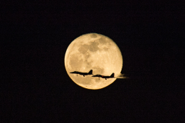 千歳基地 - Chitose Airbase [RJCJ]で撮影された航空自衛隊 - Japan Air Self-Defense Forceの航空機写真