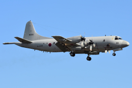 航空フォト：5033 海上自衛隊 P-3C Orion