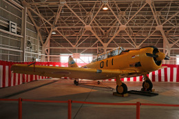 Wasawasa-isaoさんが、静浜飛行場で撮影した航空自衛隊 T-6F Texanの航空フォト（飛行機 写真・画像）