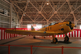 Wasawasa-isaoさんが、静浜飛行場で撮影した航空自衛隊 T-6F Texanの航空フォト（飛行機 写真・画像）