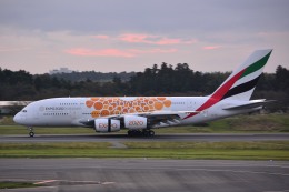 エミュレーツ航空のA380-300 2020ドバイEXPO特別塗装機❣️ ドバイ国際博覧会「エキスポ2020」 オレンジ」特別塗装機