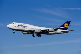 フランクフルト国際空港 - Frankfurt Airport [FRA/EDDF]で撮影されたルフトハンザドイツ航空 - Lufthansa [LH/DLH]の航空機写真