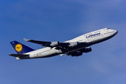 フランクフルト国際空港 - Frankfurt Airport [FRA/EDDF]で撮影されたルフトハンザドイツ航空 - Lufthansa [LH/DLH]の航空機写真