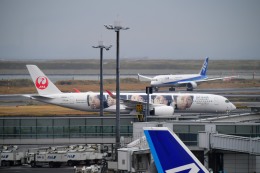 kamerajiijiさんが、羽田空港で撮影した日本航空 A350-941の航空フォト（飛行機 写真・画像）