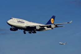 フランクフルト国際空港 - Frankfurt Airport [FRA/EDDF]で撮影されたルフトハンザドイツ航空 - Lufthansa [LH/DLH]の航空機写真