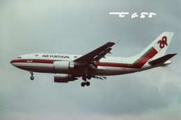 航空フォト：CS-TEX TAPポルトガル航空 A310-300