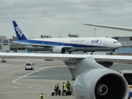 Rsaさんが、フランクフルト国際空港で撮影した全日空 777-381/ERの航空フォト（飛行機 写真・画像）