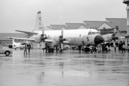 apphgさんが、厚木飛行場で撮影したアメリカ海軍 P-3 Orionの航空フォト（飛行機 写真・画像）