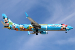 航空フォト：N318AS アラスカ航空 737-900