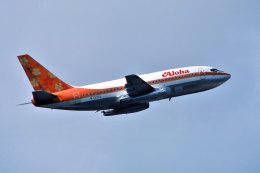 航空フォト：N73713 アロハ航空 737-200