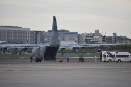 JAA　DC-8さんが、伊丹空港で撮影した航空自衛隊 C-130H Herculesの航空フォト（飛行機 写真・画像）