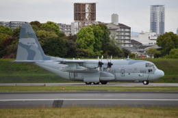 JAA　DC-8さんが、伊丹空港で撮影した航空自衛隊 C-130H Herculesの航空フォト（飛行機 写真・画像）