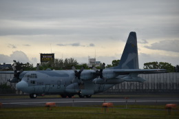 JAA　DC-8さんが、伊丹空港で撮影した航空自衛隊 C-130H Herculesの航空フォト（飛行機 写真・画像）