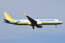 航空フォト：RP-C4125 セブパシフィック航空 A321neo