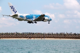 かぷちーのさんが、下地島空港で撮影した全日空 A380-841の航空フォト（飛行機 写真・画像）