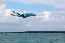 かぷちーのさんが、下地島空港で撮影した全日空 A380-841の航空フォト（飛行機 写真・画像）